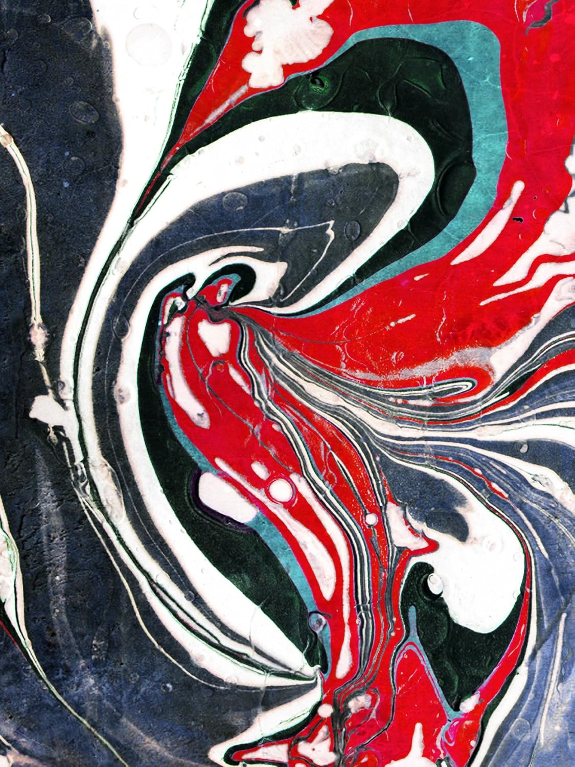 kavka designs ferox 艺术微喷印画(红色/蓝色/灰色),尺寸:24x36x.